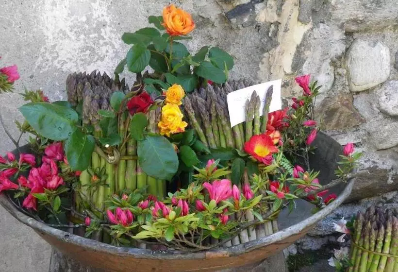 Отель Albergo Rusall