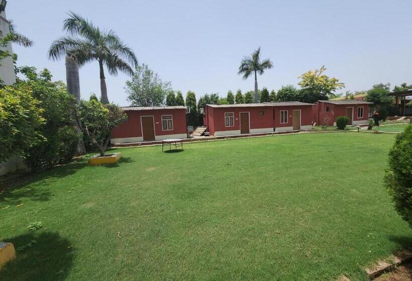 Отель Sanctuary Resort