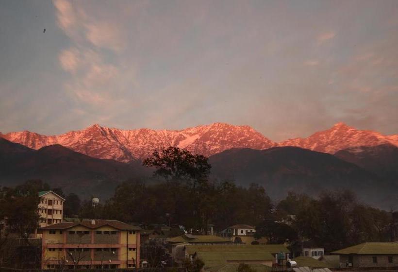 Hotelli Treebo Trend Gk Conifer