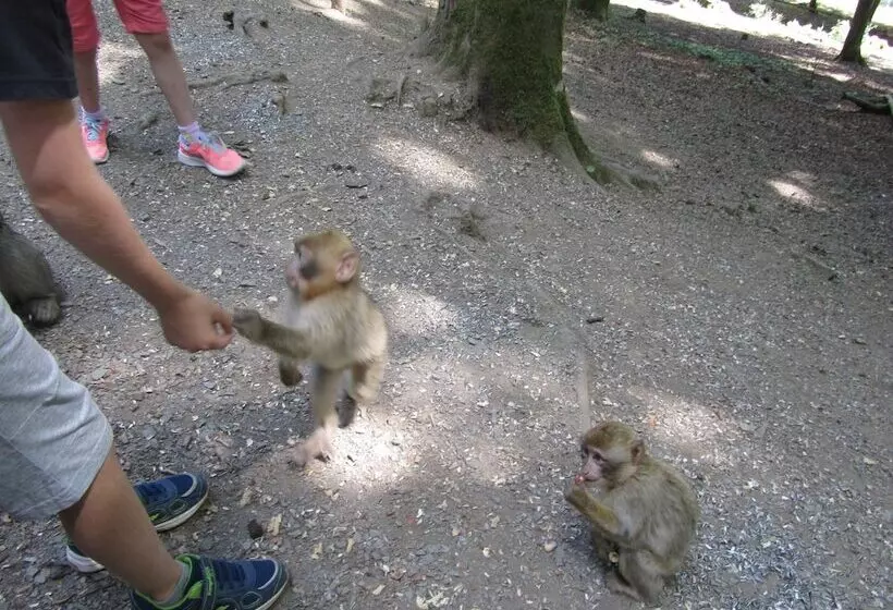 Land Gut Hotel Zur Burg Nürburg