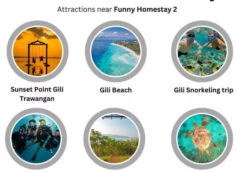 ペンション Funny Homestay 2