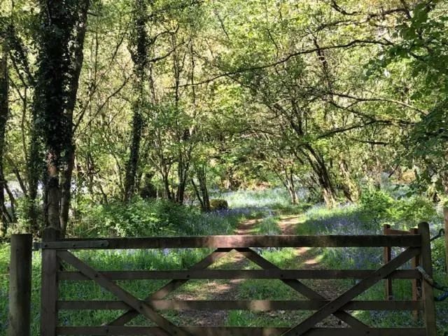Down The Garden Path Vintage Caravan B&b , Dartmoor