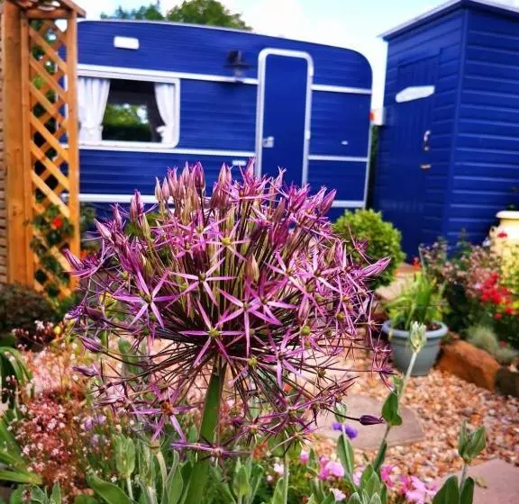 Down The Garden Path Vintage Caravan B&b , Dartmoor