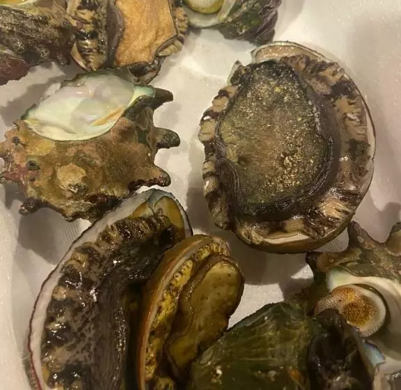 Drive In Ichinomiya Motel