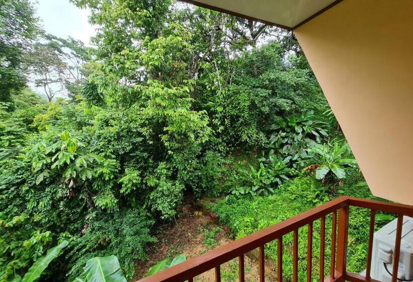 Отель Ceiba Lodge