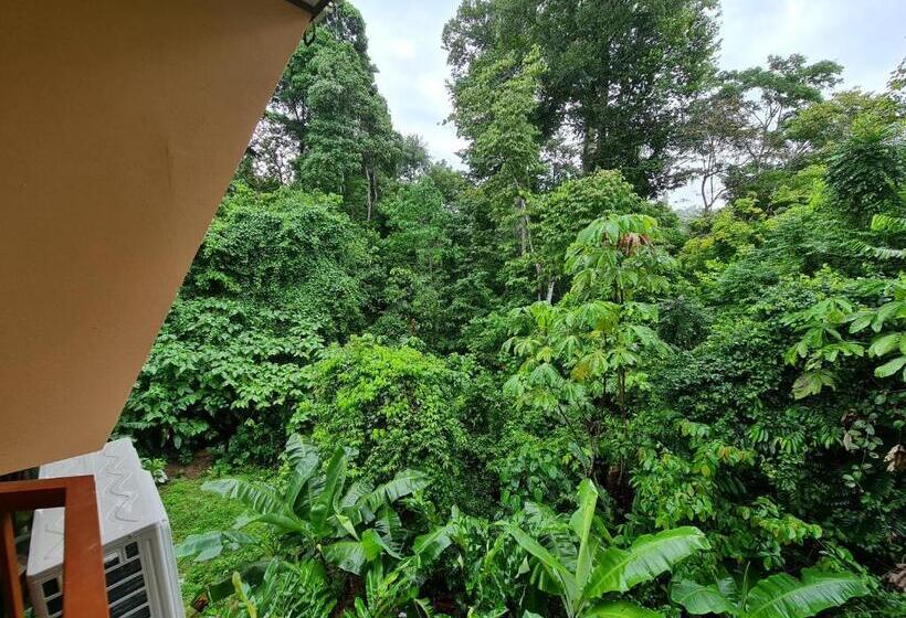 Отель Ceiba Lodge