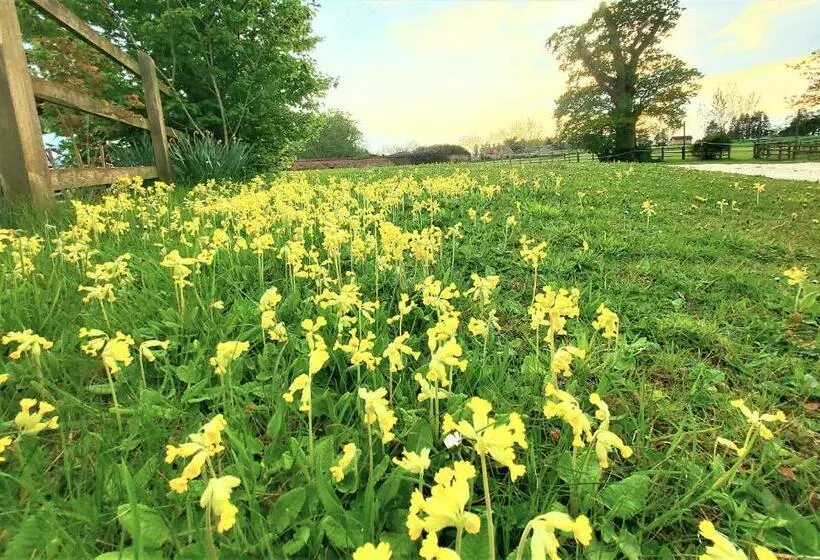 ペンション Huntstile Organic Farm