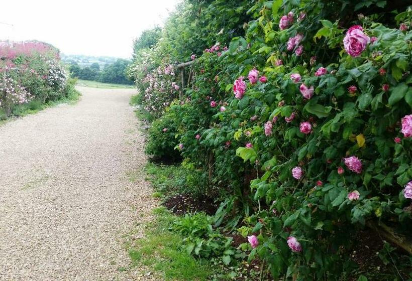 膳宿费 Huntstile Organic Farm