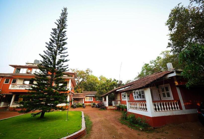 Pansiyon Nomadgao Vila Nova Comfort, Great Views, Fast Wifi & Interesting People