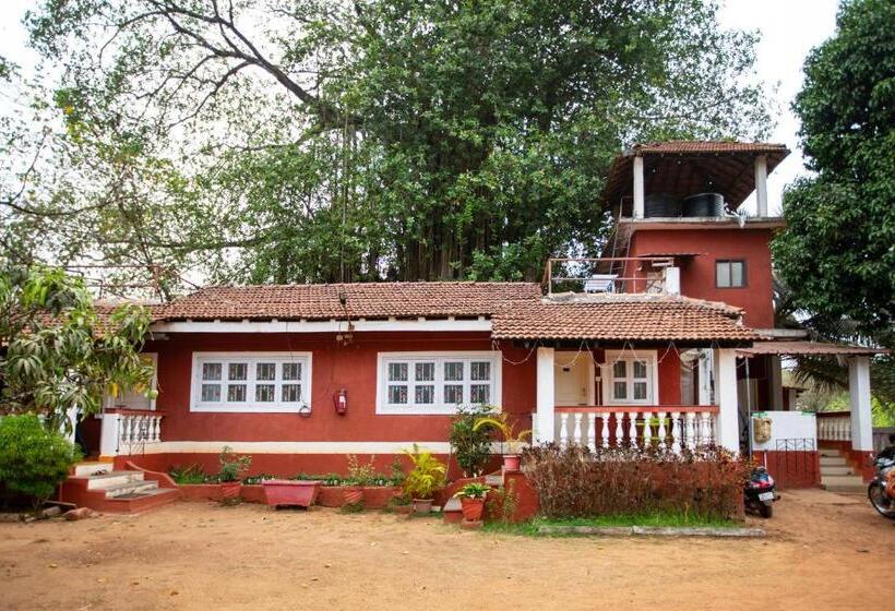 Pansiyon Nomadgao Vila Nova Comfort, Great Views, Fast Wifi & Interesting People