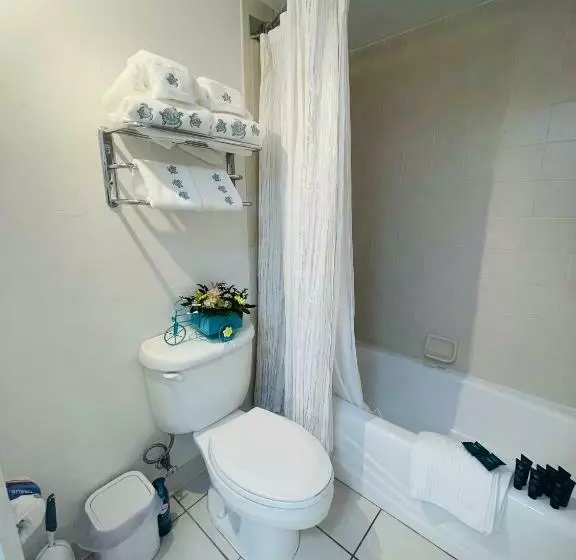 Daytona Beach Resort Oceanfront Condostudio