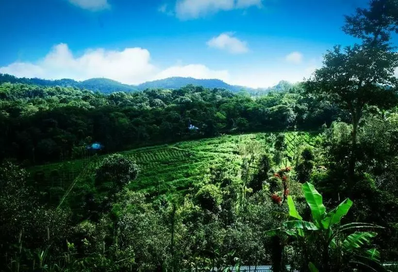 ホテル Blackhole Farms & Retreats