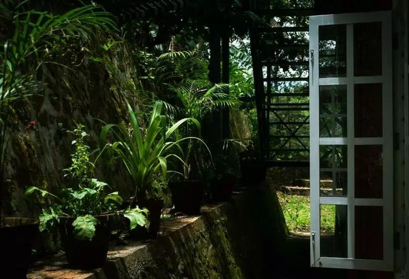 ホテル Blackhole Farms & Retreats