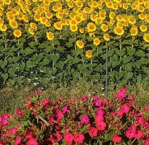 Пансион Casa Marblu Via Cairoli, 47 Corciano