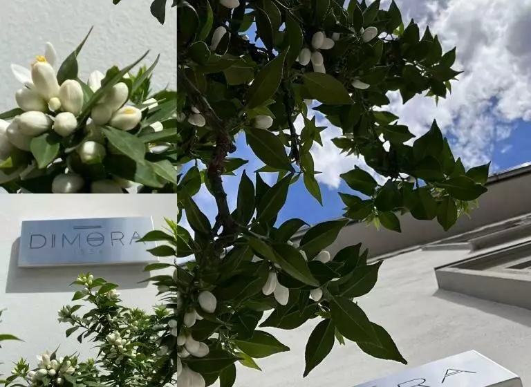 Aamiaismajoitus (B&B) Dimora1934 Relax&comfort