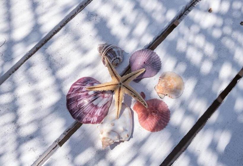 ホテル Yasos Suites