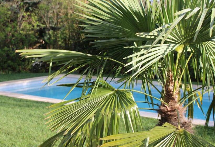 Les Romarins B&b, 10 Min D Uzès, Piscine Et Grand Jardin, Table D Hôte