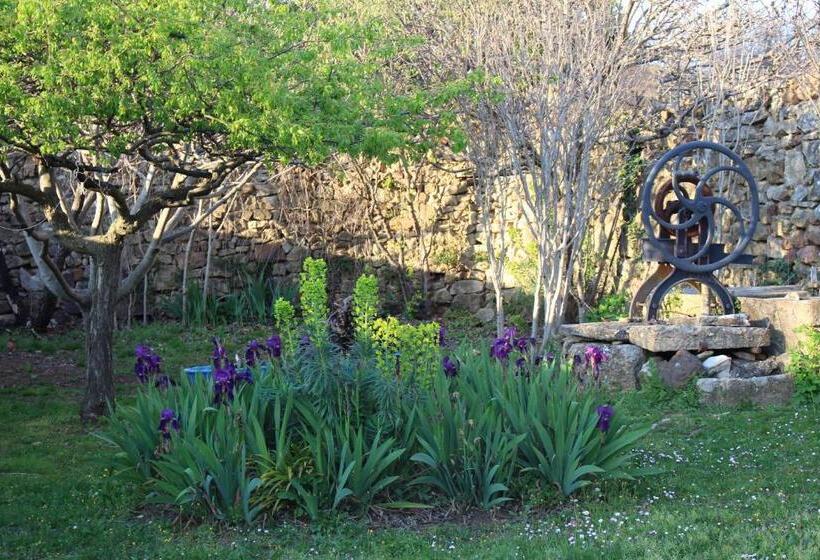 Les Romarins B&b, 10 Min D Uzès, Piscine Et Grand Jardin, Table D Hôte
