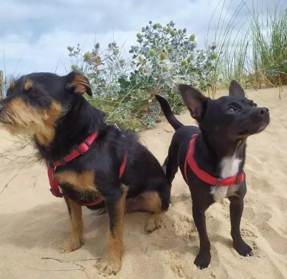 Aamiaismajoitus (B&B) Chambrecosy Salle De Bain Privée
