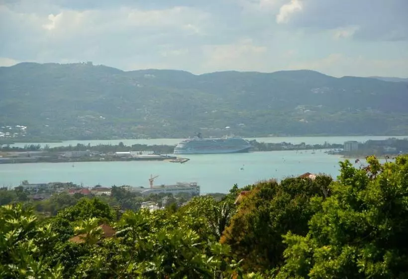 پانسیون Three Palm Villa