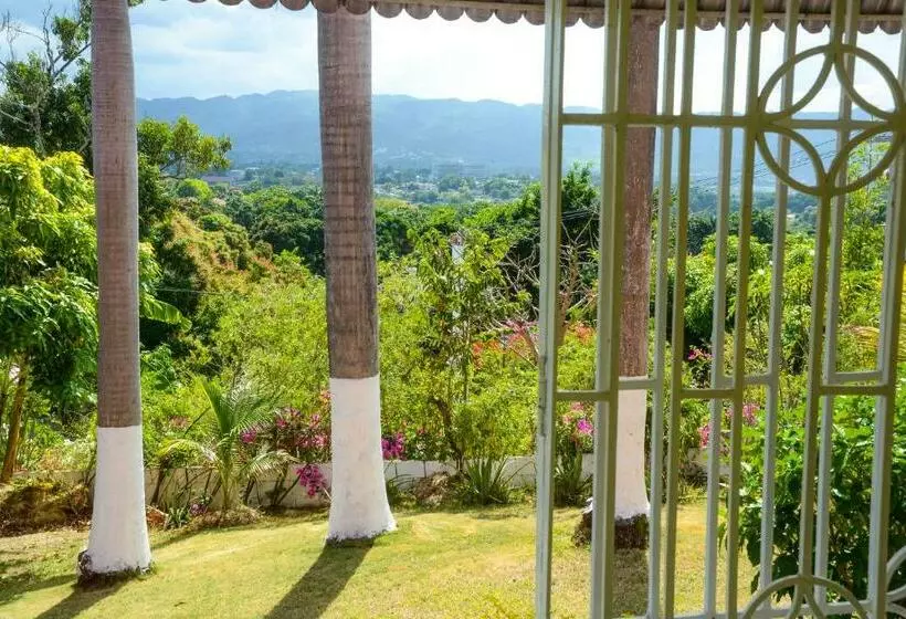 پانسیون Three Palm Villa