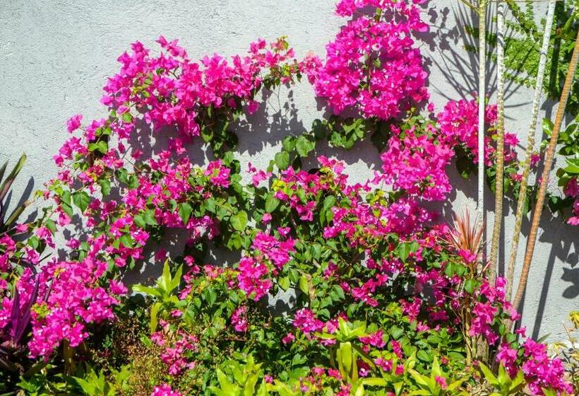 پانسیون Three Palm Villa