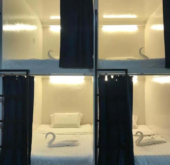 هاستل Tempo Ext