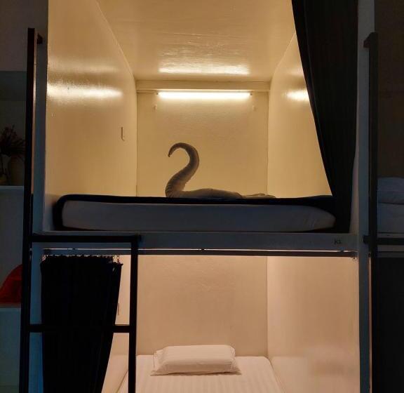 هاستل Tempo Ext