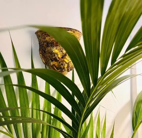 تختخواب و صبحانه Sofia Katane Suites