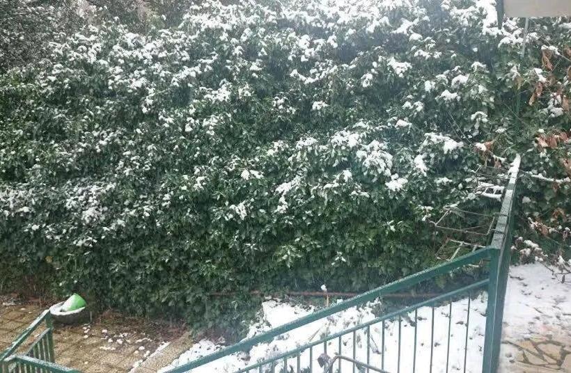 مبيت وإفطار Castagneto Dell Etna