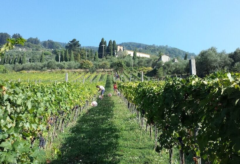 Fattoria Gambaro Di Petrognano