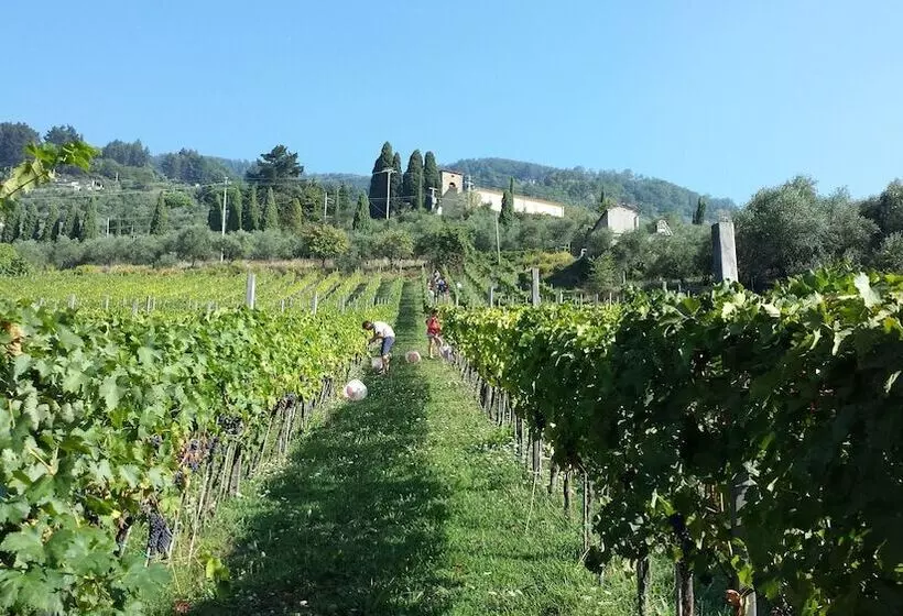 Fattoria Gambaro Di Petrognano