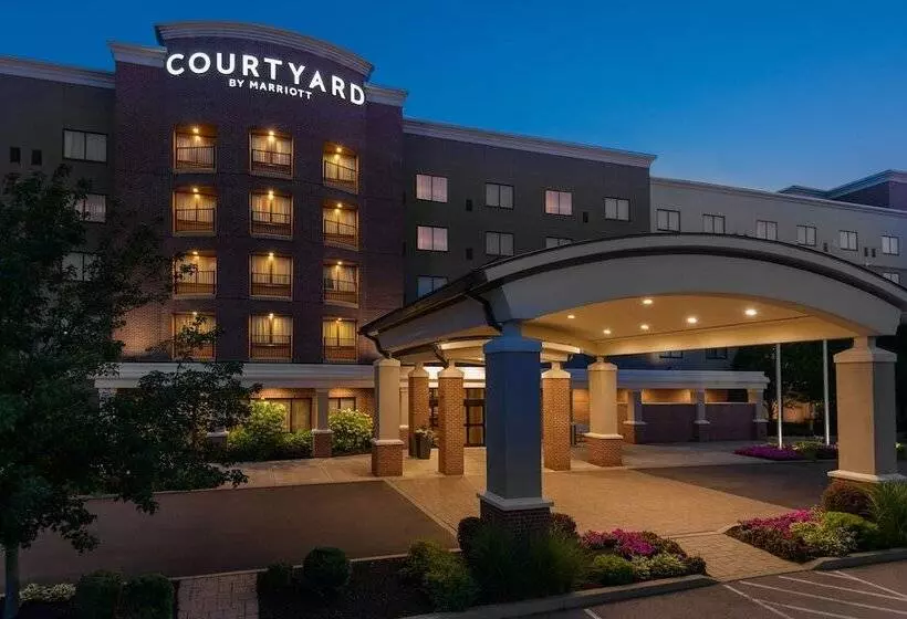 호텔 Courtyard By Marriott Buffalo Airport