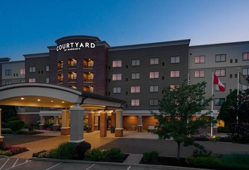 ホテル Courtyard By Marriott Buffalo Airport
