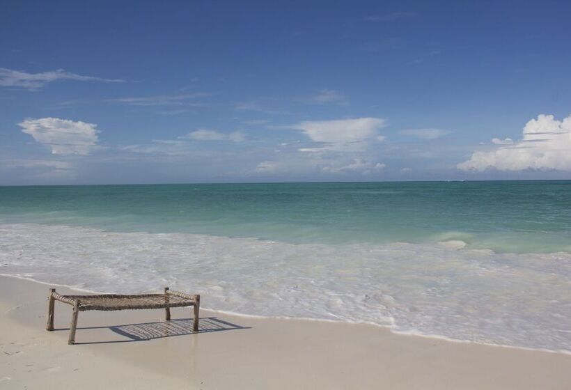 فندق Dhow Inn Boutique