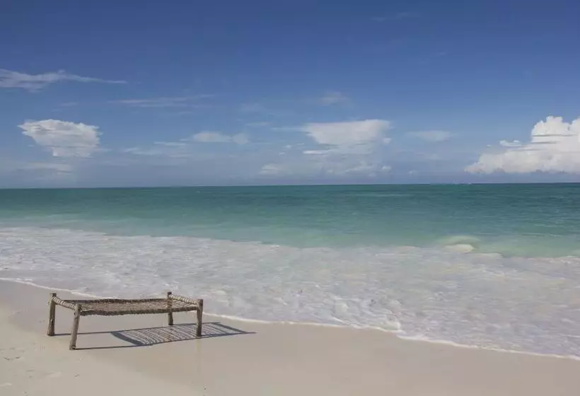 فندق Dhow Inn Boutique