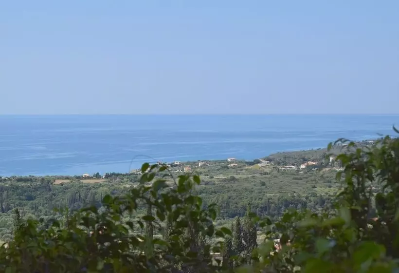 هتل Diana Studios