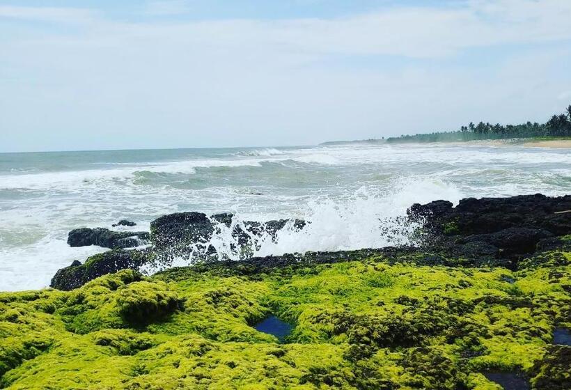 فندق Oceanic Beach Residency