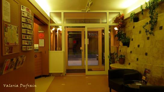 בית מלון כפרי Pest Inn