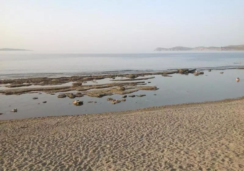 Hotel Petras Beach