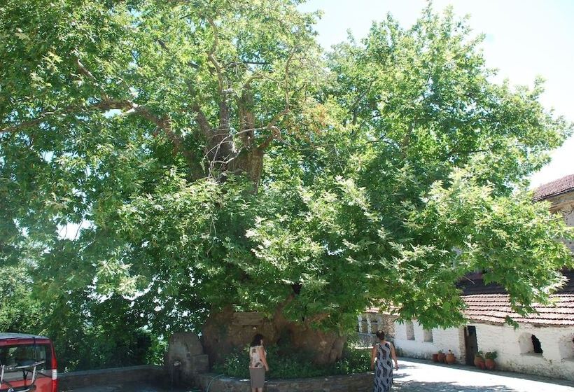 בית מלון כפרי Sintrivanis Mountain