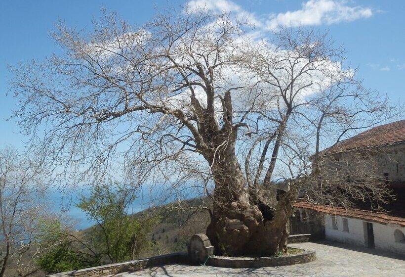 בית מלון כפרי Sintrivanis Mountain