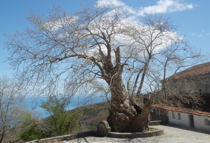 בית מלון כפרי Sintrivanis Mountain