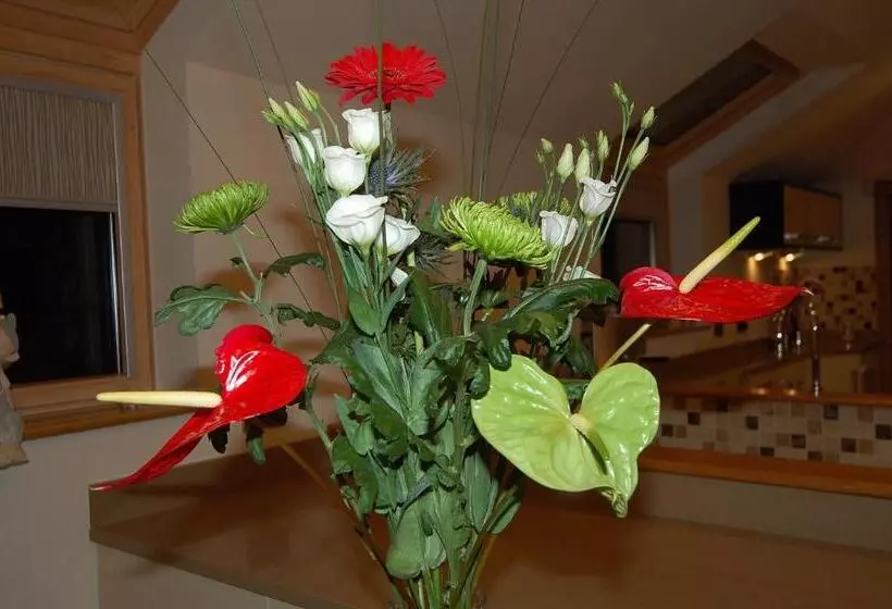 بنسيون Inverlea Guest House