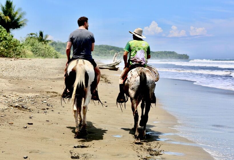 리조트 Kura Boutique Hotel Member Of The Cayuga Collection