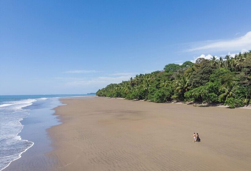 리조트 Kura Boutique Hotel Member Of The Cayuga Collection