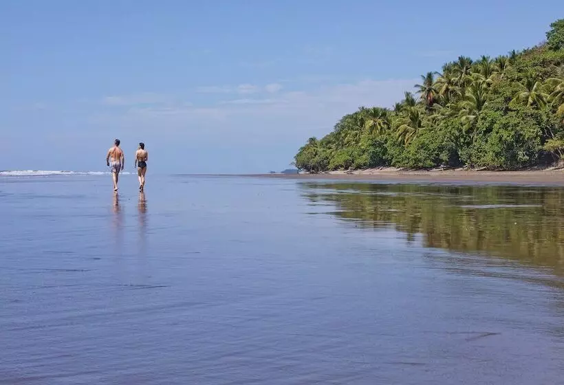 אתר נופש Kura Boutique Hotel Member Of The Cayuga Collection