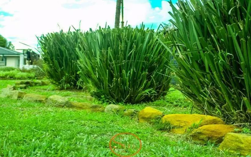 Majatalo Slee Guest House