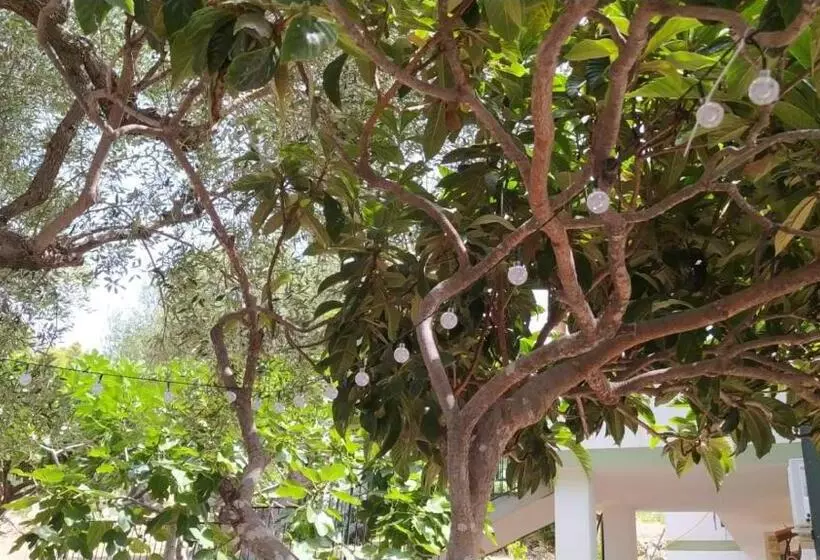 Aamiaismajoitus (B&B) Bed&breakfast Ad Agros Logement