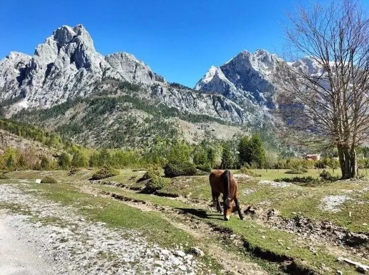 Aamiaismajoitus (B&B) Bujtina Arlindi